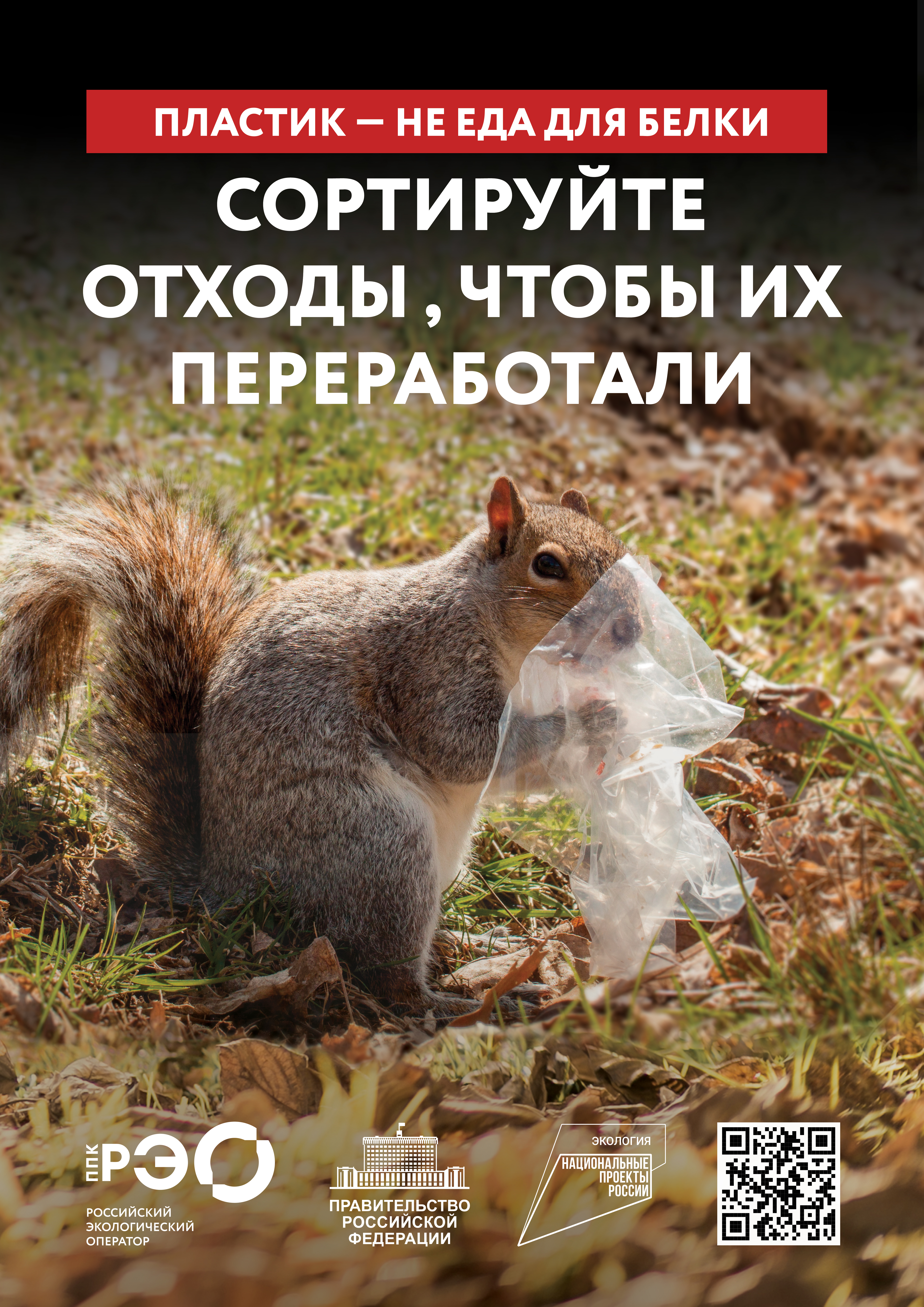 Seria 9 animal poster _A2_3.jpg